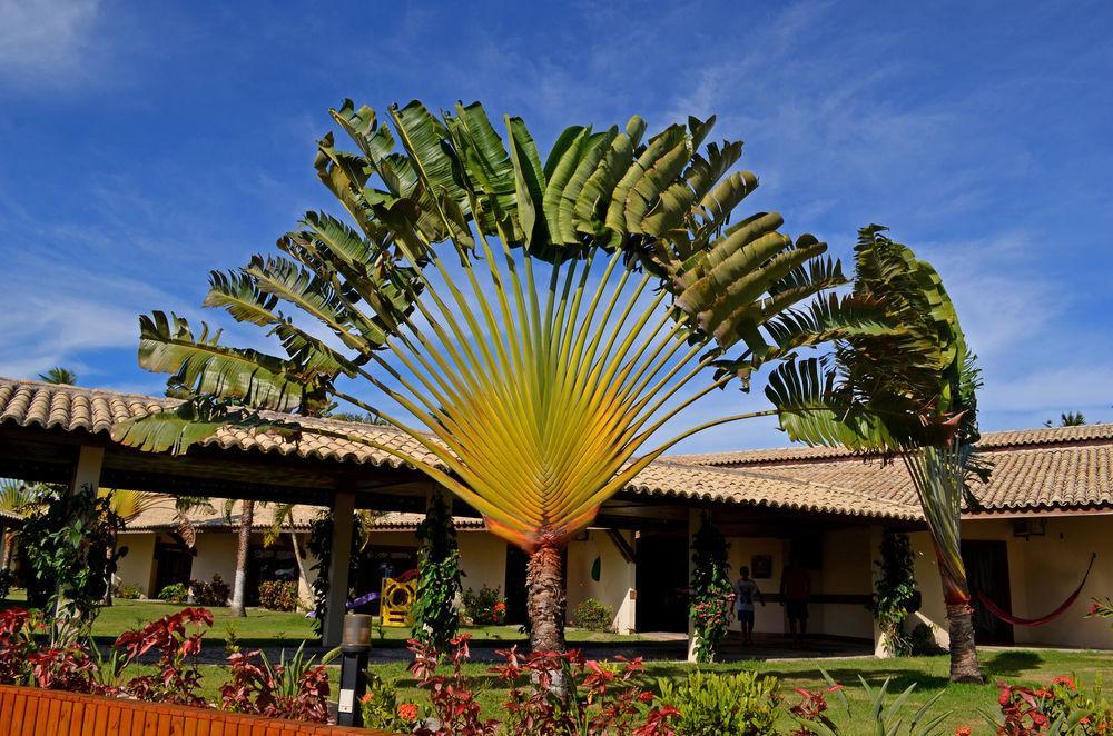 Rede Andrade Vela Branca Hotel Recife Exterior foto